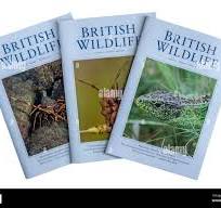 Journals & Periodicals